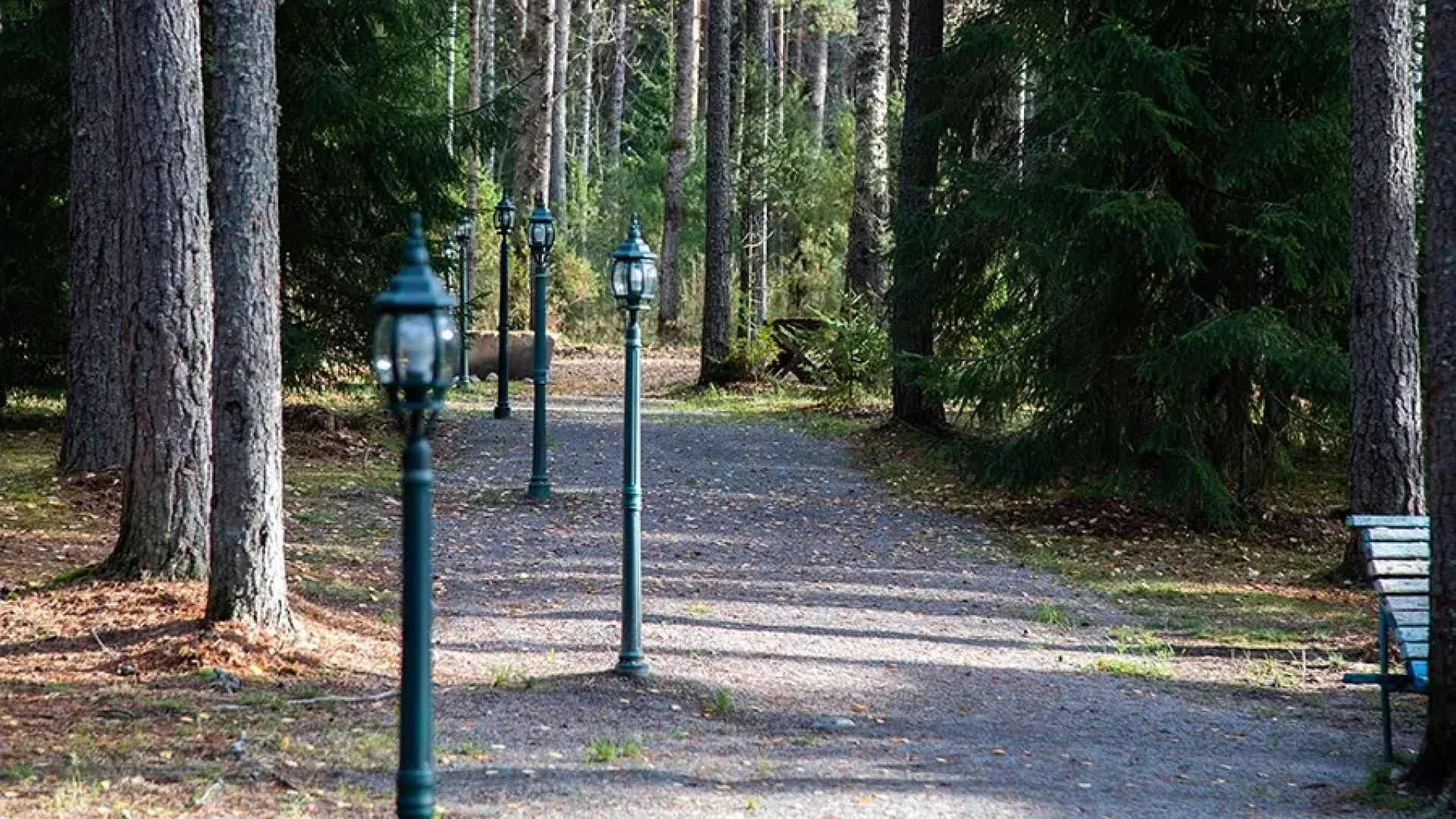 Отель База отдыха Заветное