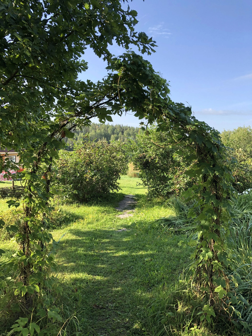 Бунгало у Озера