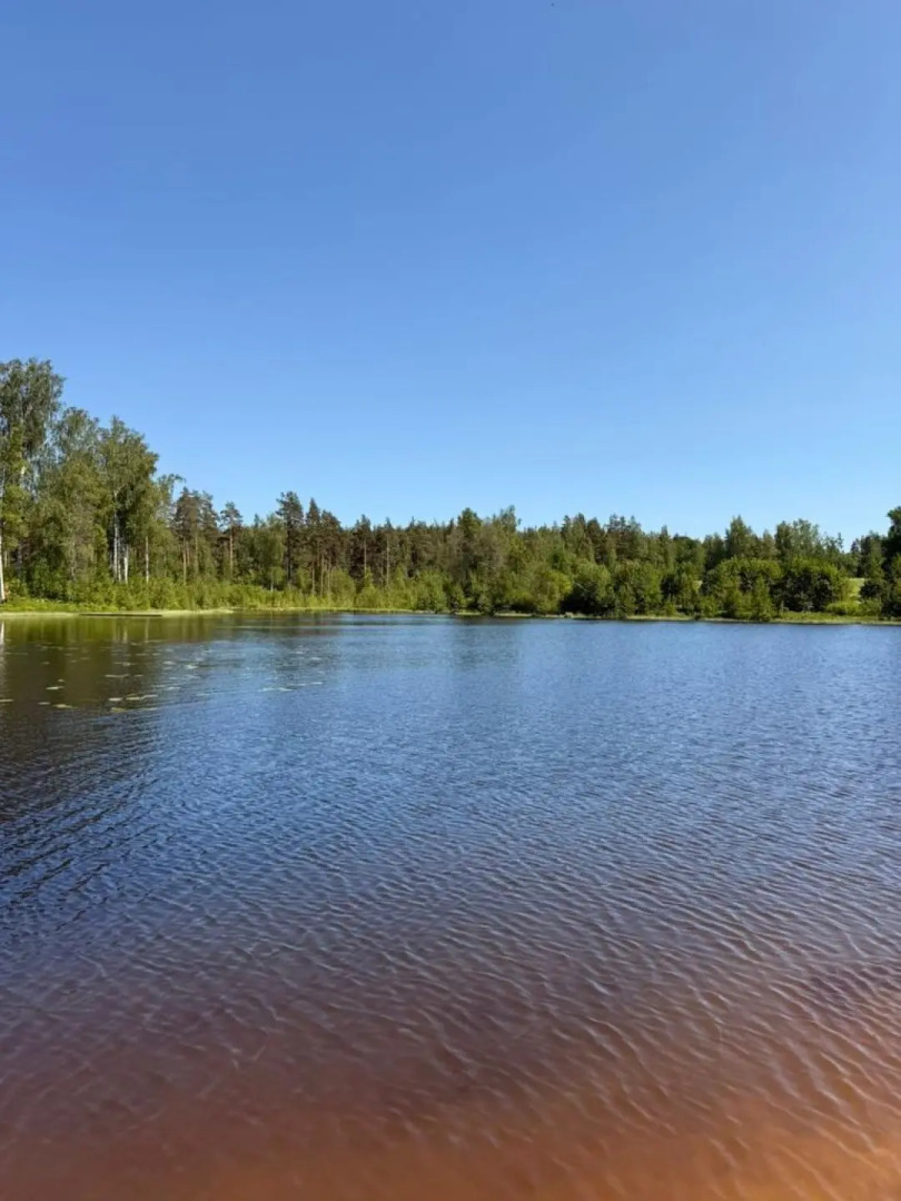 Частный дом Среда обитания