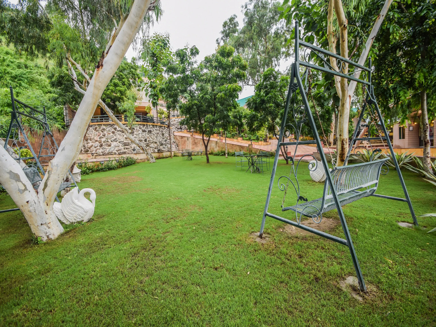 Отель The Space Jungle