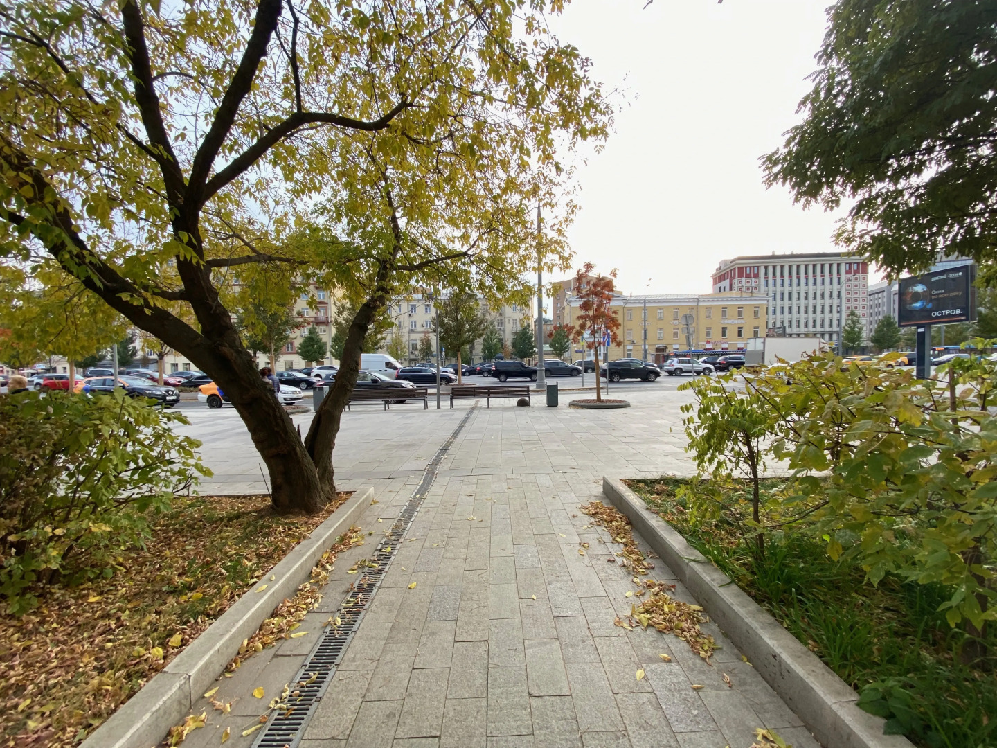 Апартаменты У Максима