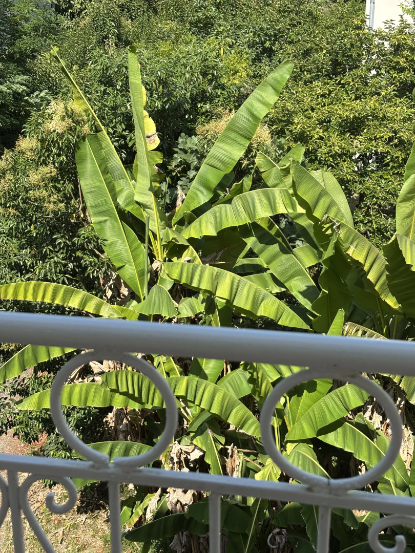 Квартира Стильная рядом с морем и парком