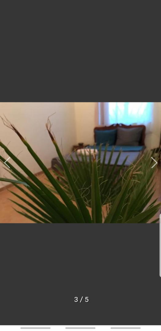 Хостел Light guest house