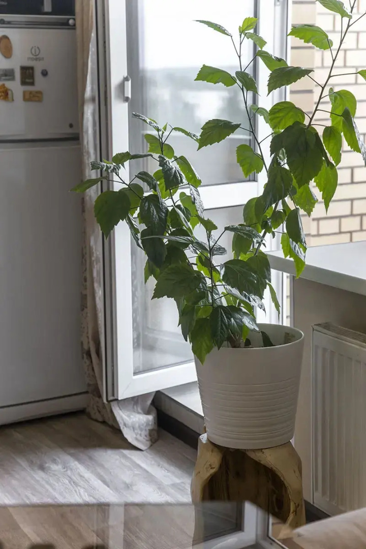 Апартаменты Юбилейные