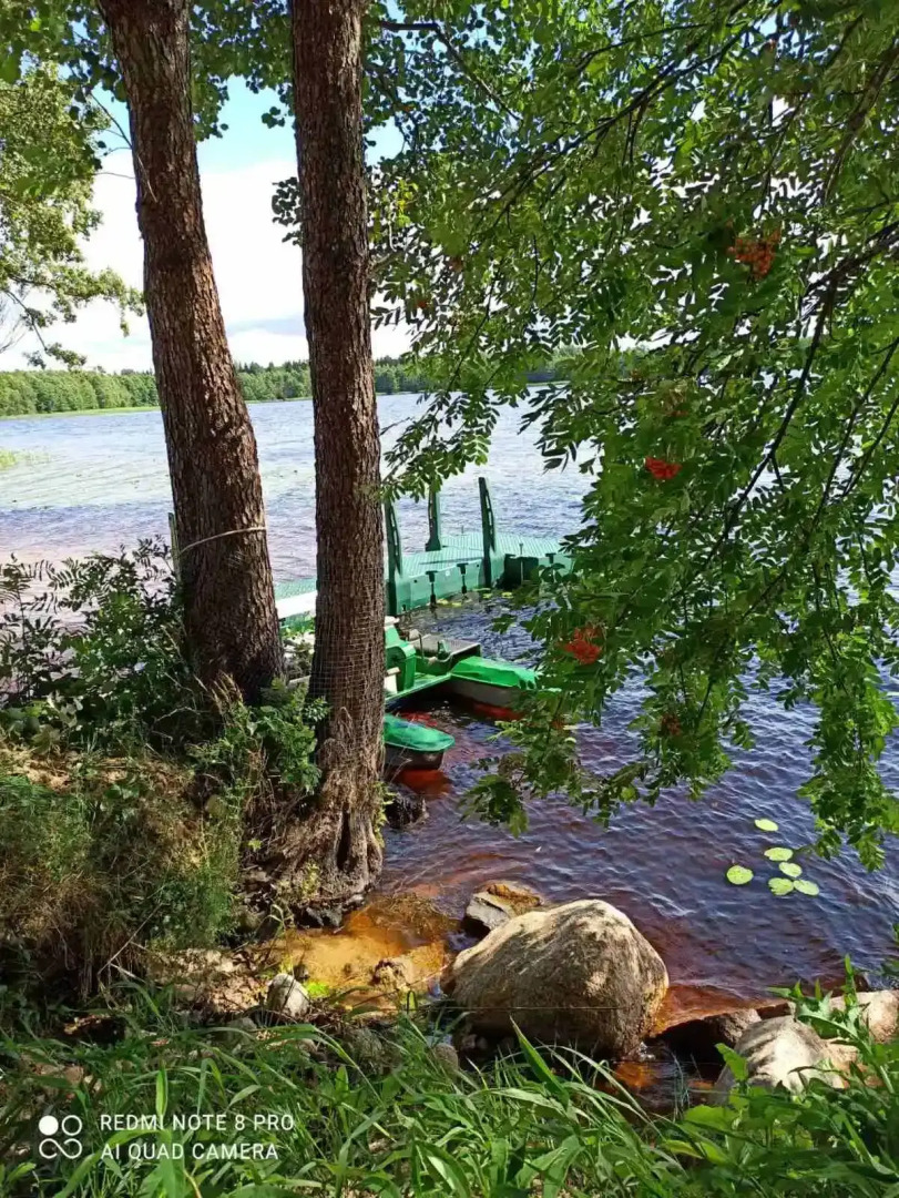 Гостевой дом Агроусадьба Яновский замок