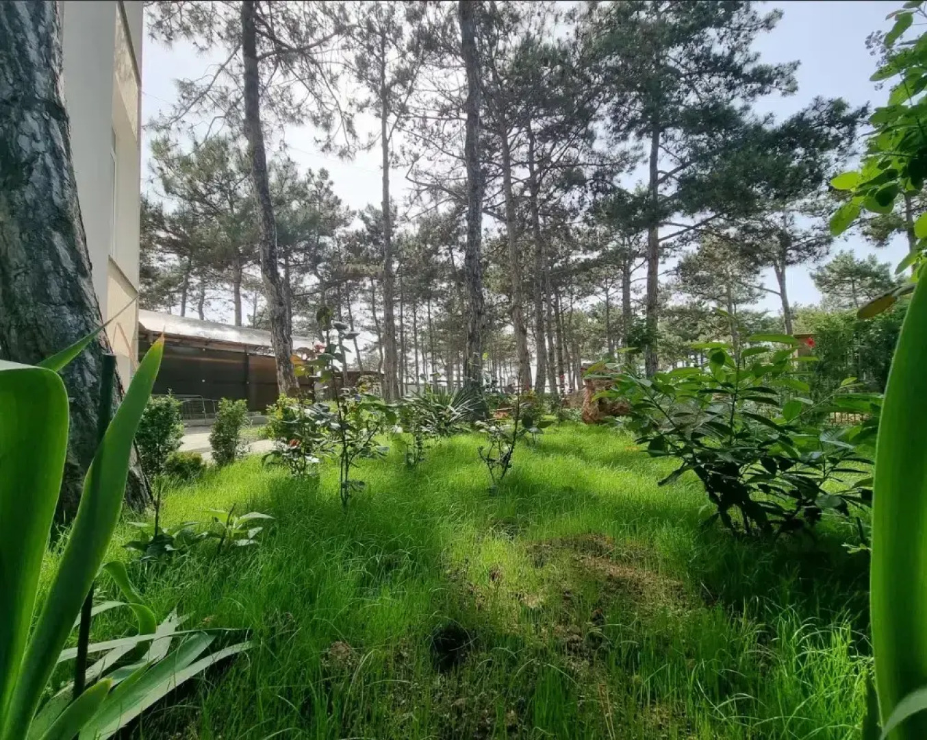 Peschanyij Bereg Mini-hotel