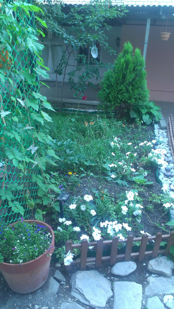 Гостевой дом Вера