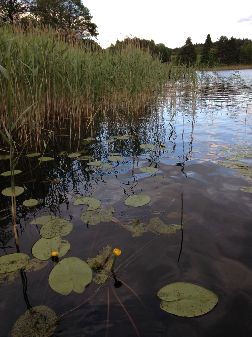 Апартаменты Любимый Причал 2-ой Этаж