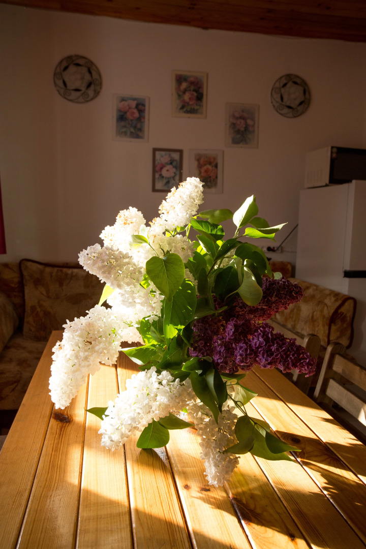 Частный Дом с 3 Спальнями на Балтийском Море