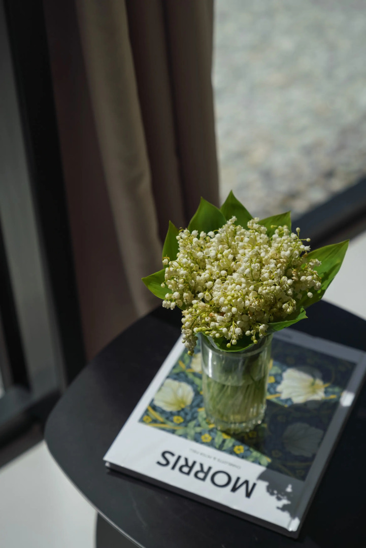 Гостевой дом Alpina house