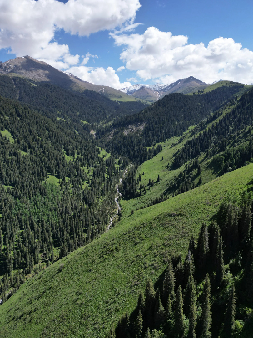 Отель Алакуш Этно-комплекс