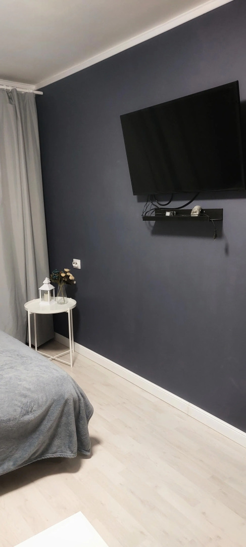 Студия вблизи соснового бора