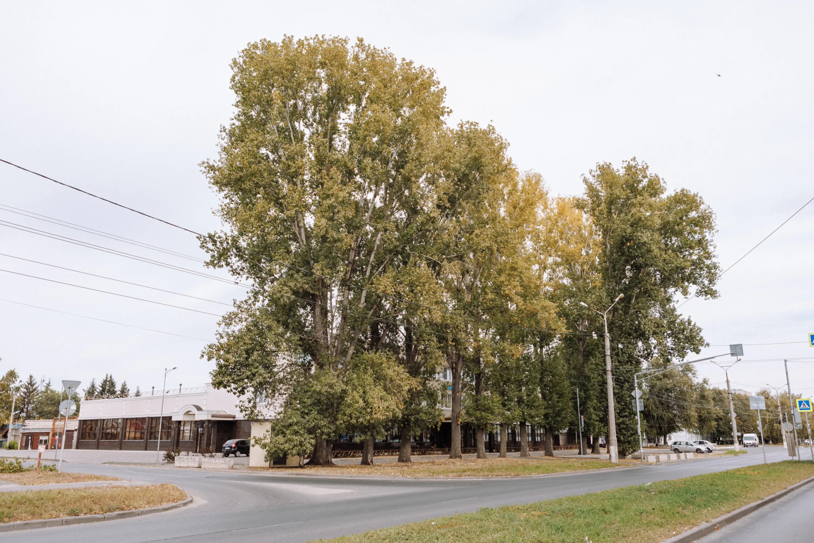 Отель Зодиак