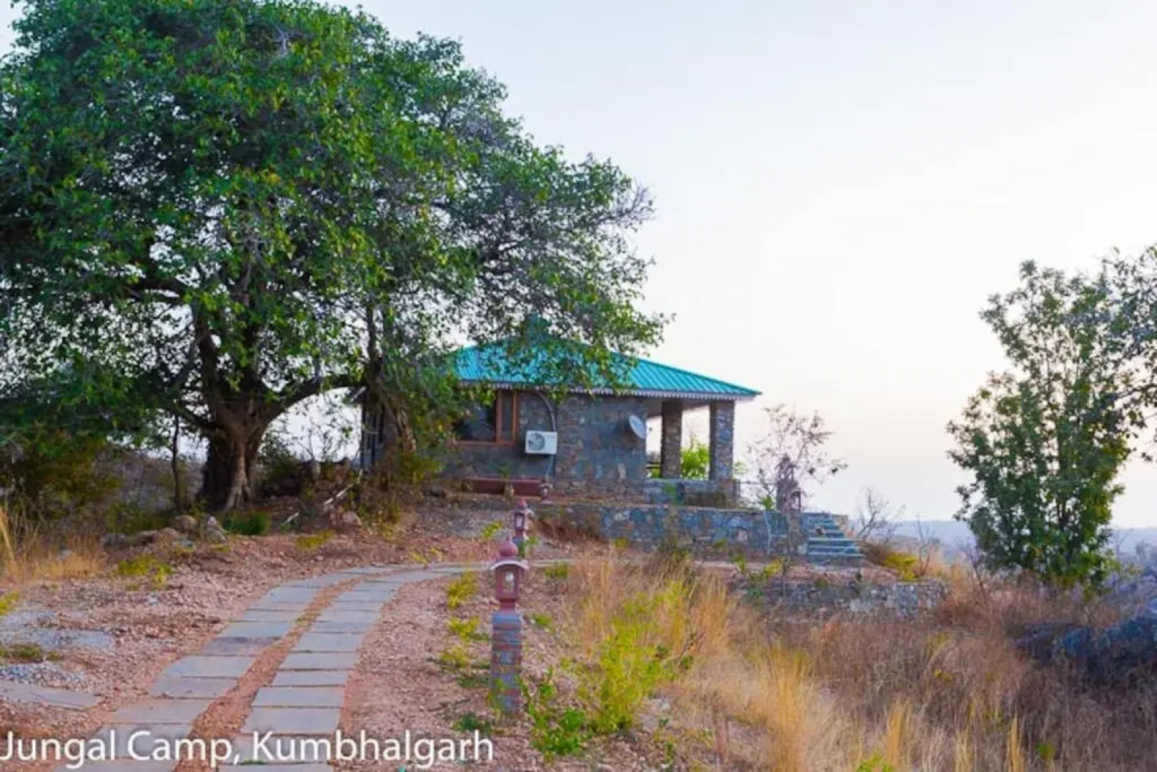 Отель Jungle Camp Resort