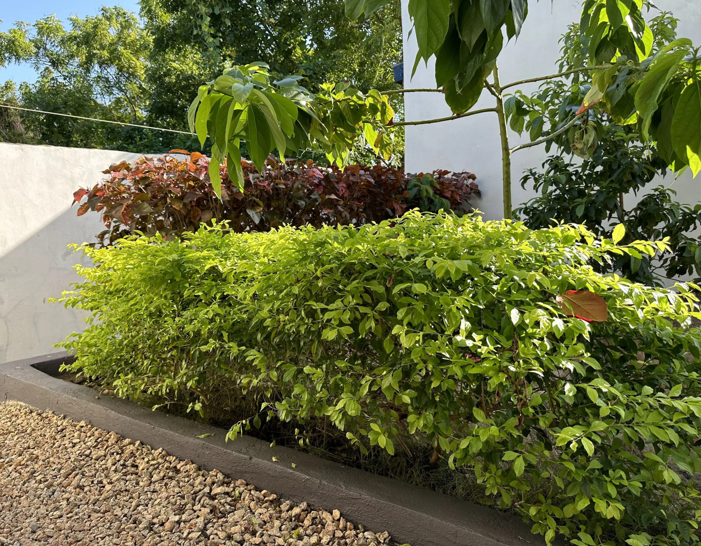 Отель Fukuchani Inn