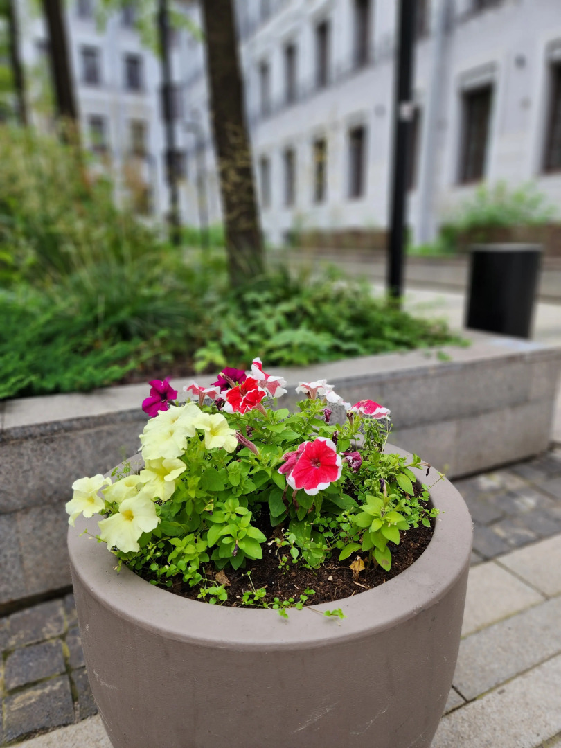 Апартаменты центр 3 чел Санкт-Петербург Лиговский проспект 56Б