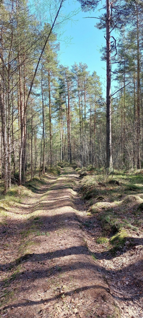 Гостевой дом Березки