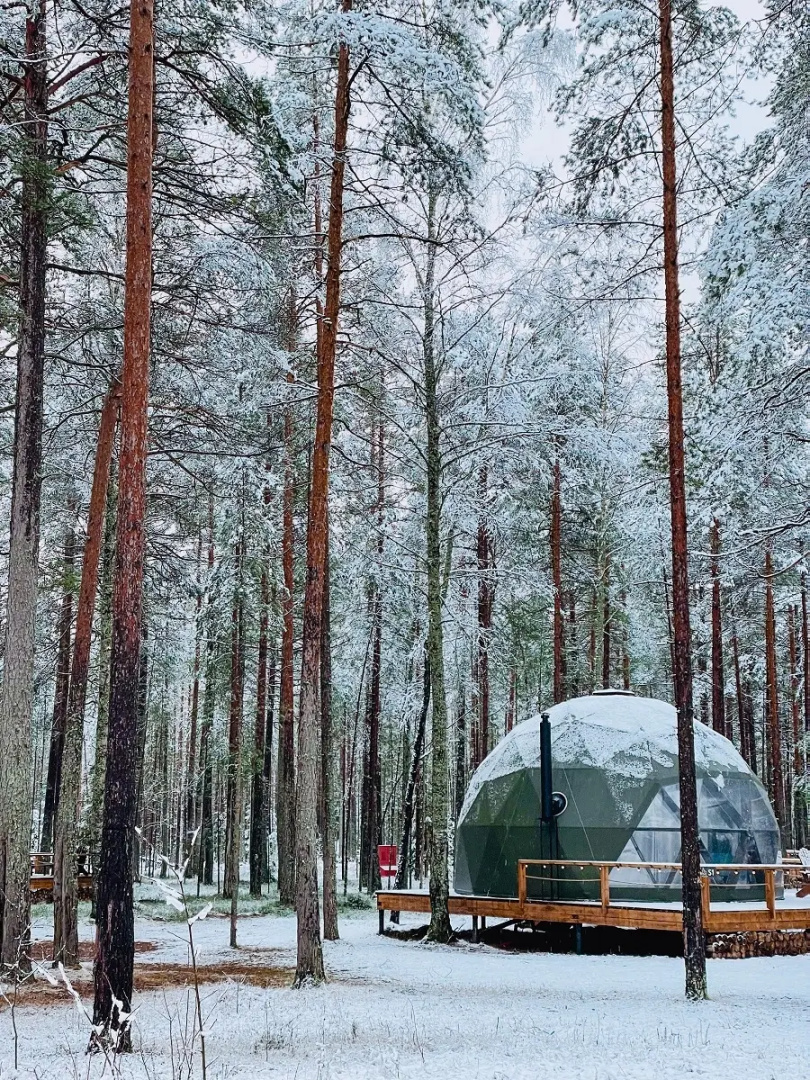 База отдыха Forest Lake