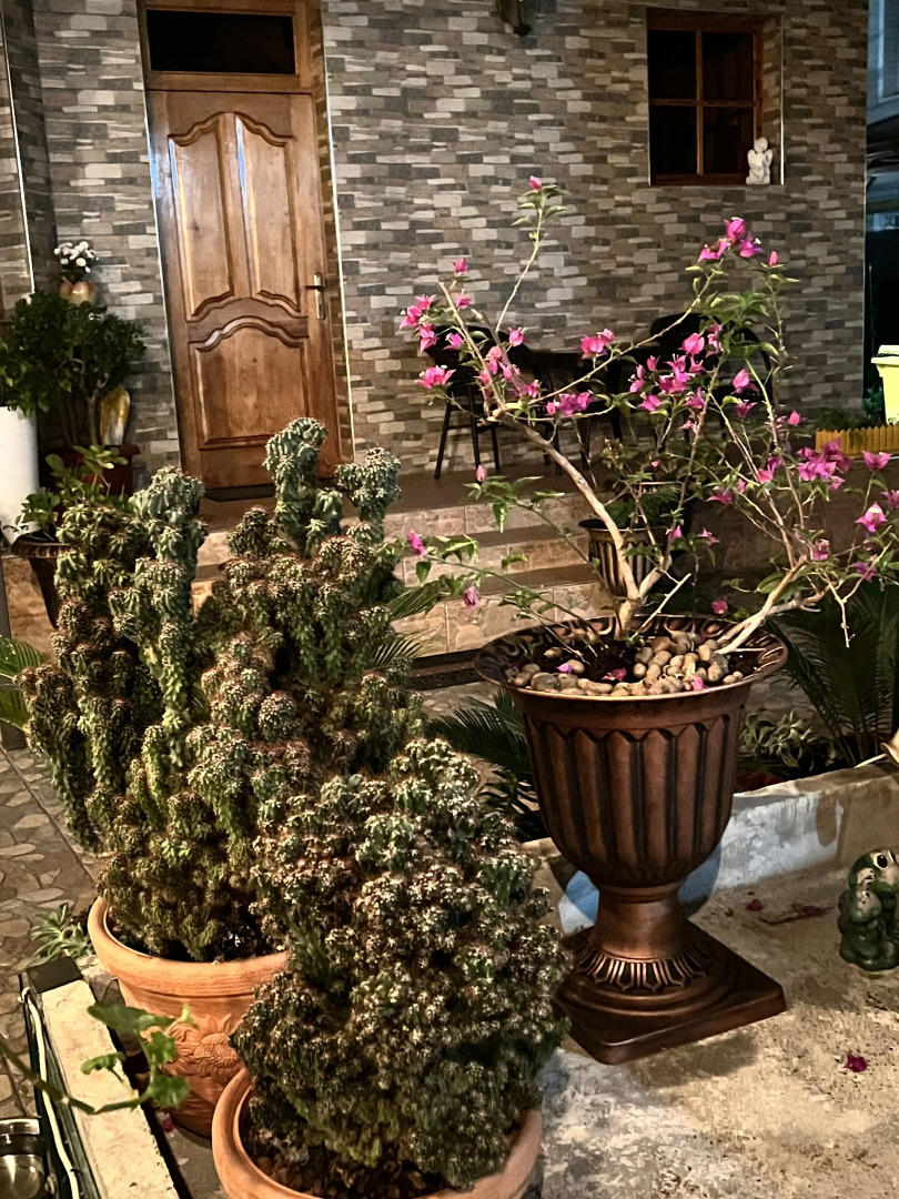 Гостевой дом Сюзи