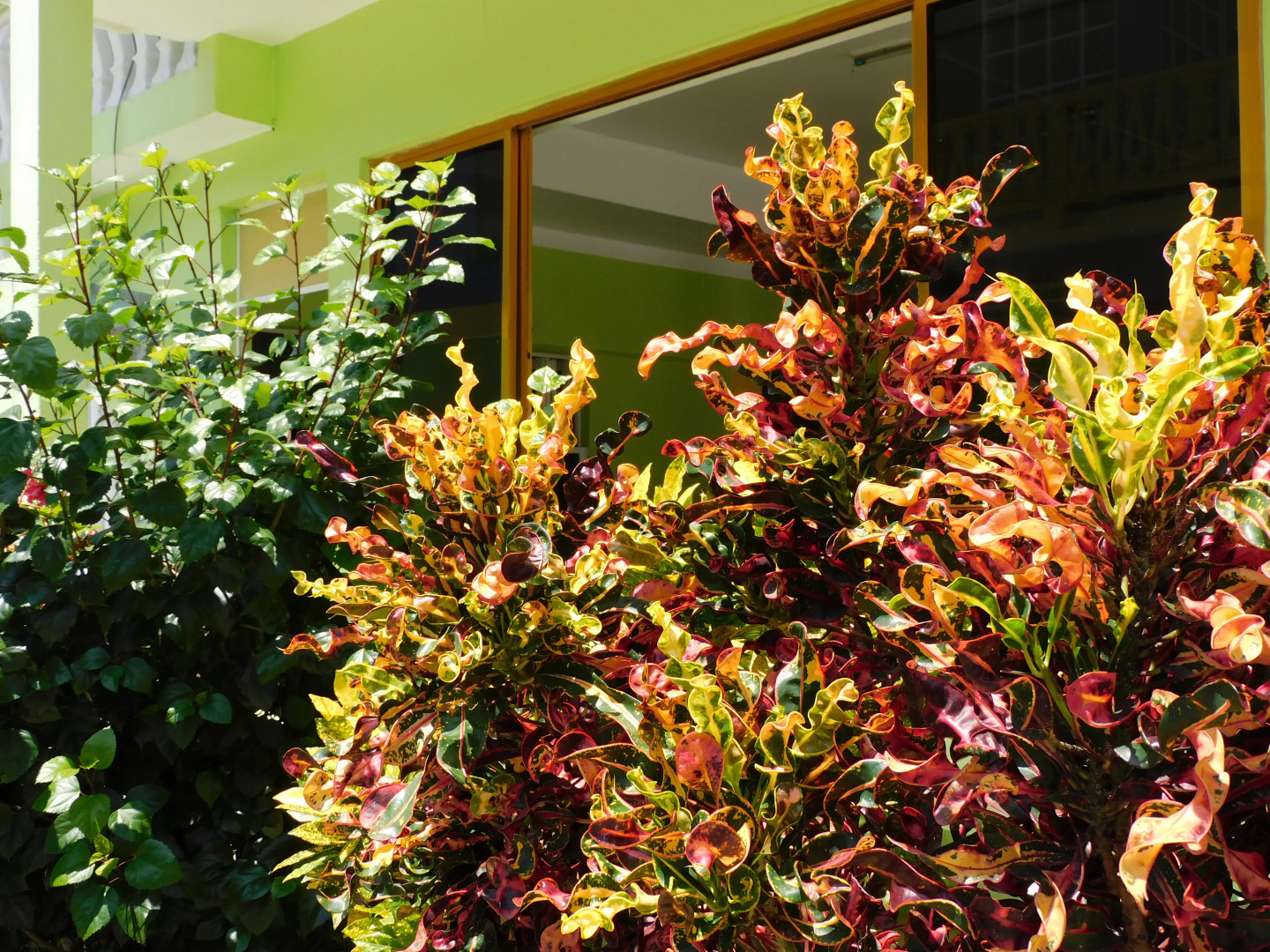 Casa de Huéspedes Yoli By Rotamundos