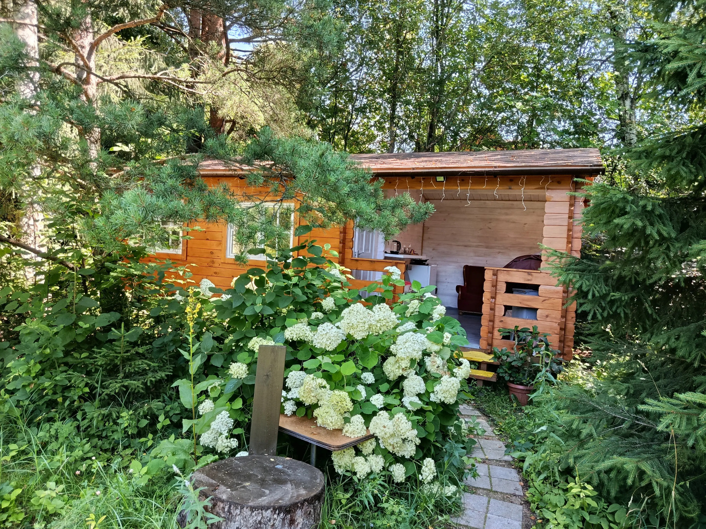 Частный дом Крым у Ёлки