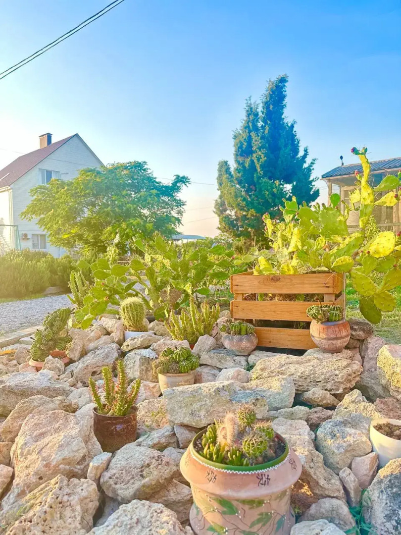 База отдыха Кактус