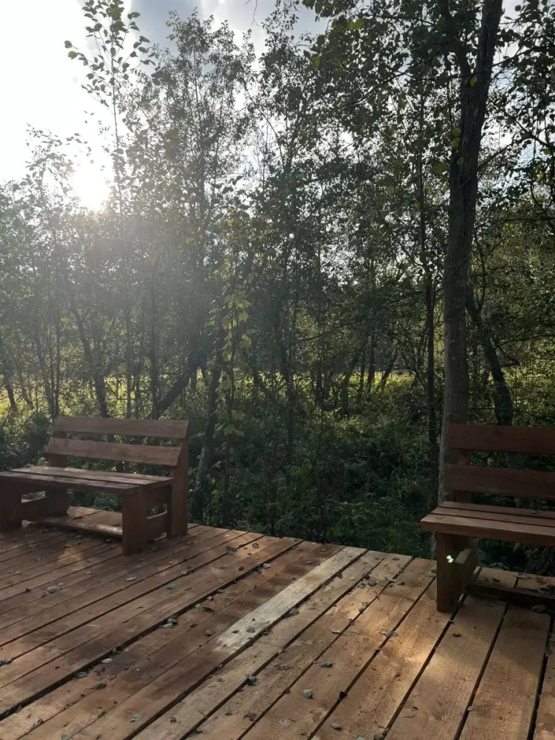 Шале Красный домик в лесу на Живописной улице