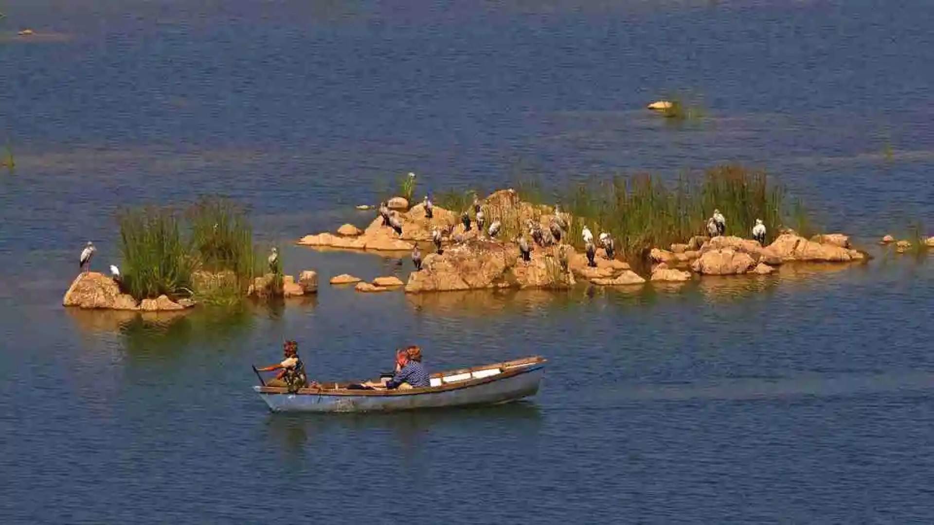 Жилое помещение Pugdundee safaris- Ken river lodge Panna