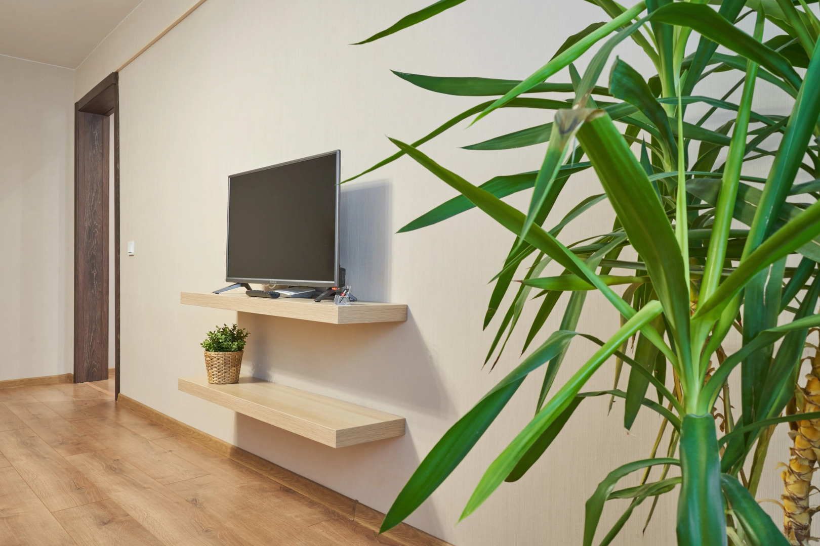 Апартаменты Good Night на Белинского 30