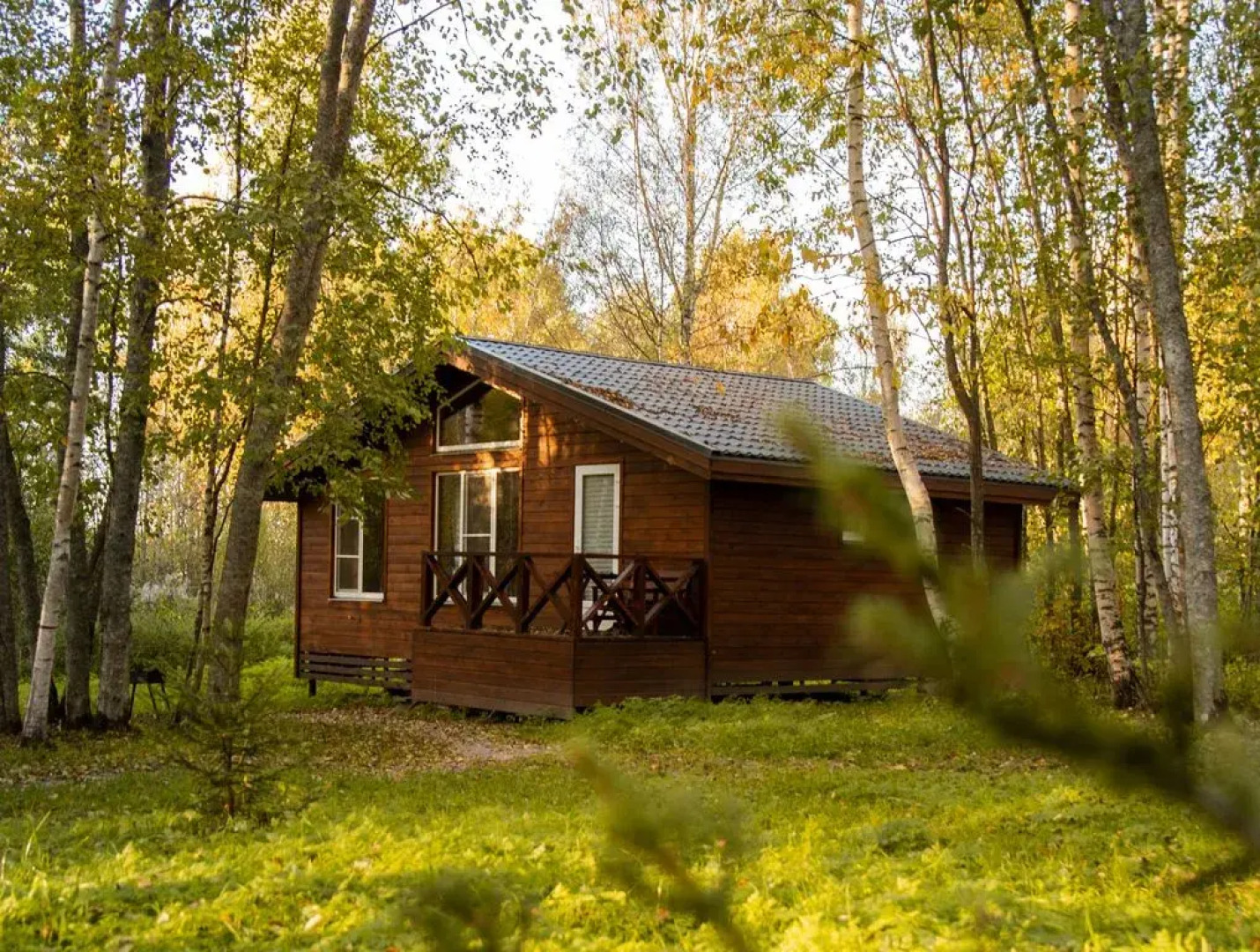 Гостевой дом Ладога Хоум - Лес