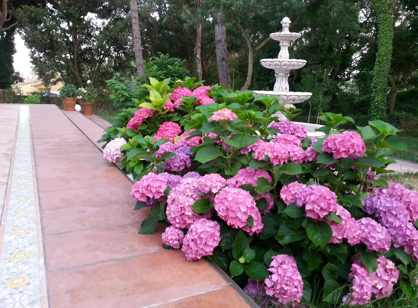 Вилла Felices juntos