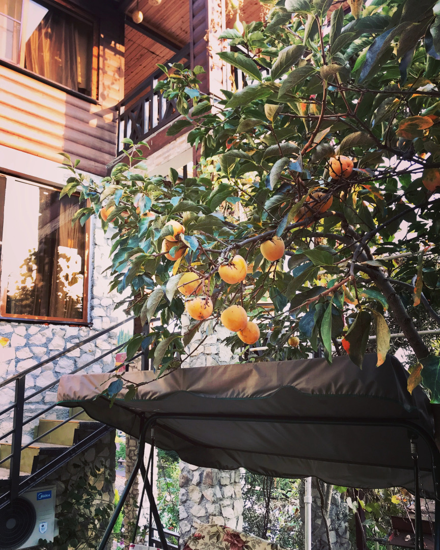 Гостевой Дом El Platano