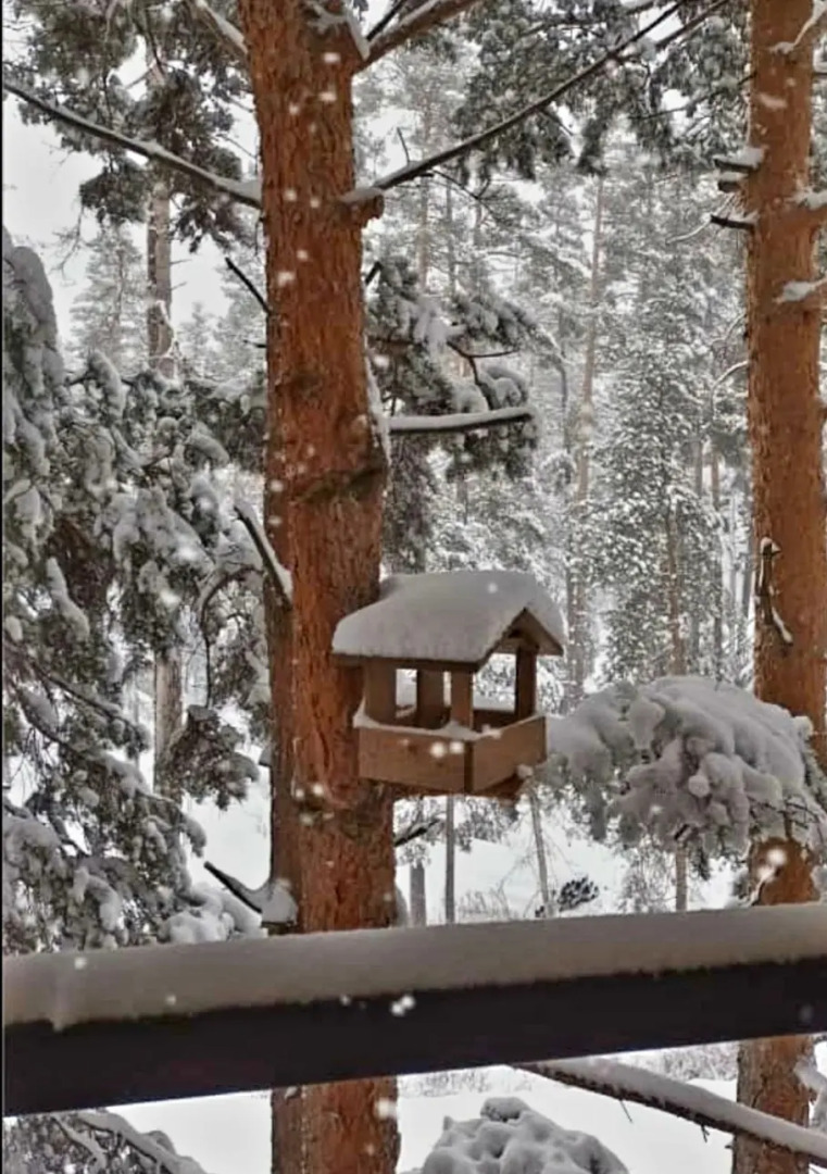 База Отдыха Les Apart