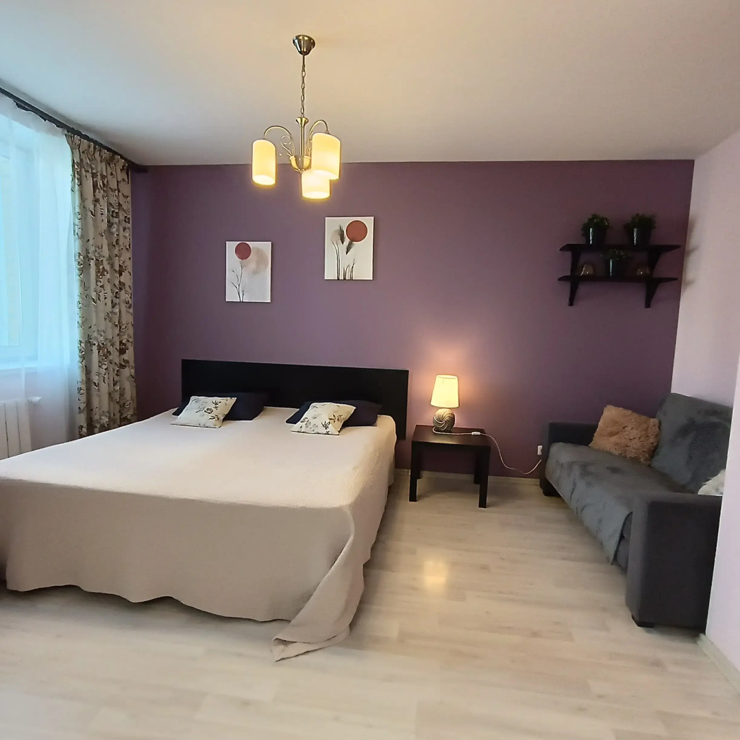 Апартаменты Библиотечная 45 #1