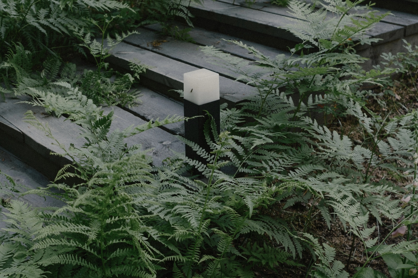 Шале Лесной восход