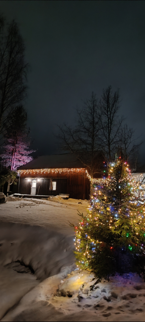 Частный дом Пихта с баней