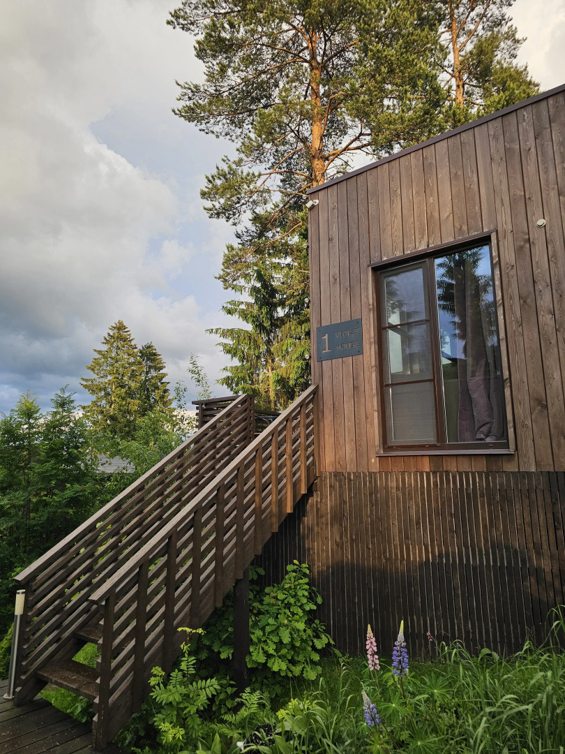 Коттедж Черничный Склон Violet House