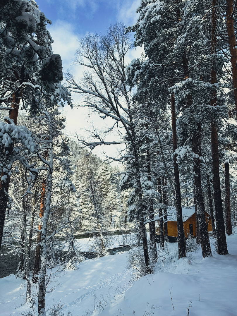 Шале Хвоя трехкомнатный люкс