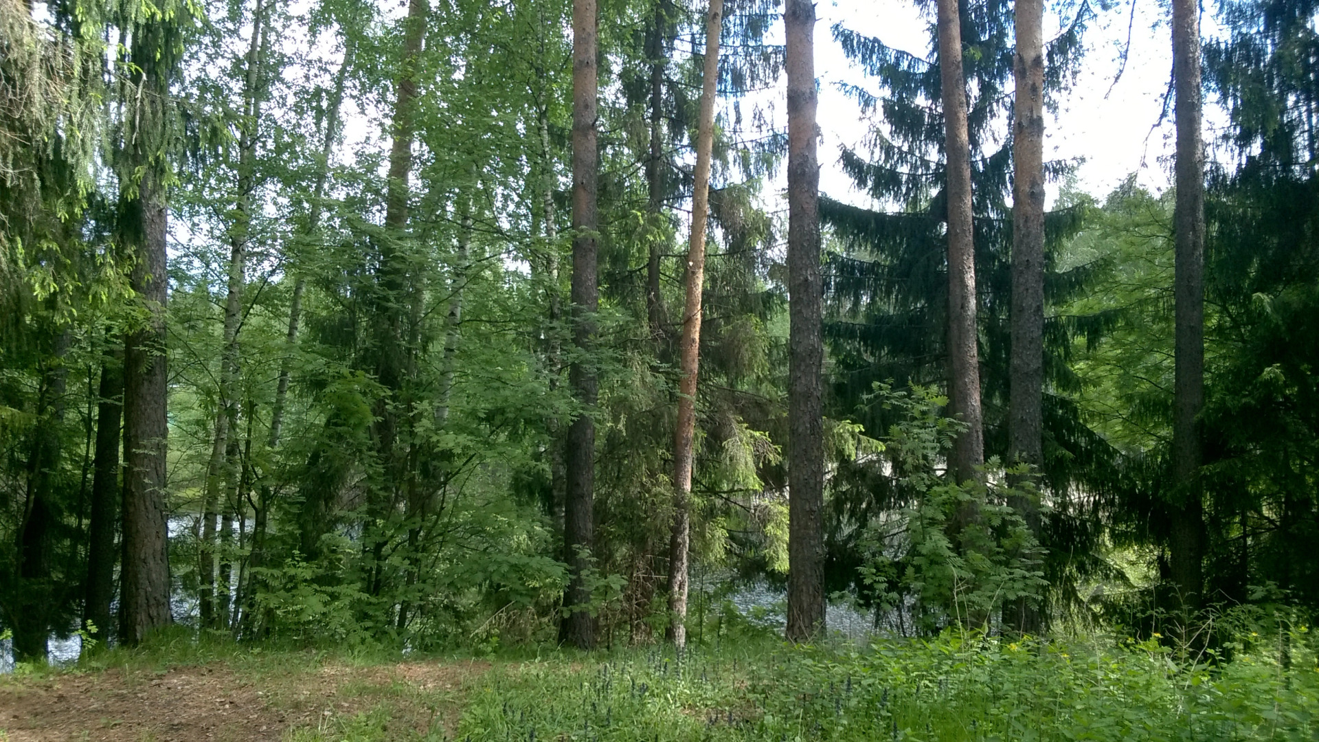 Гостевой дом Агатес