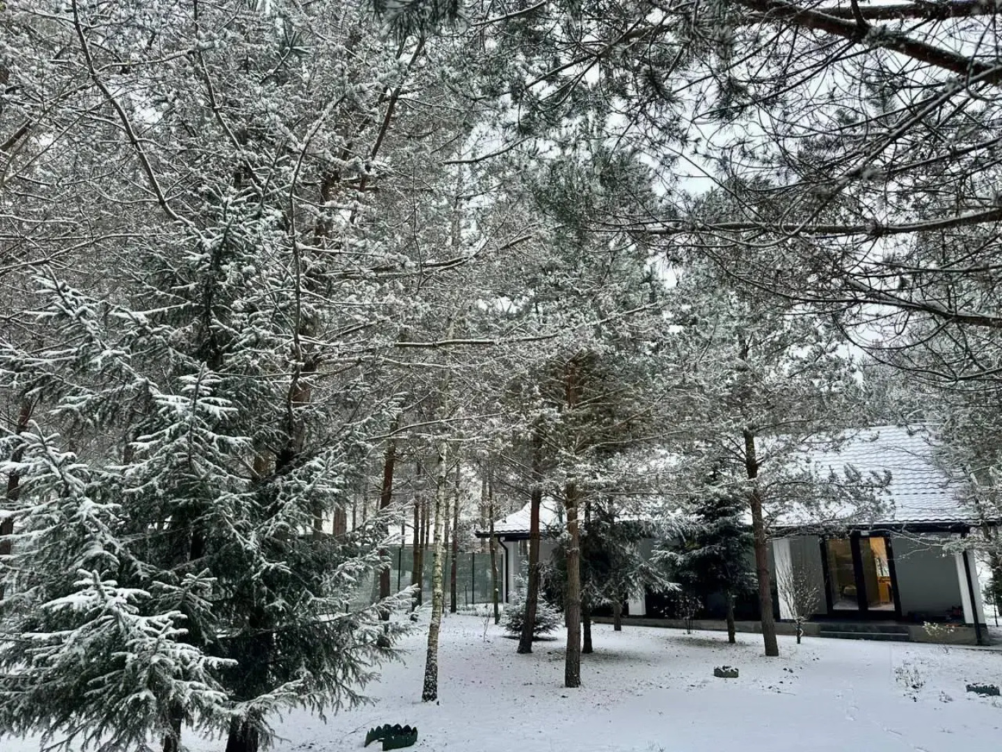 Частный дом Премиальный семейный дом в сосновом лесу