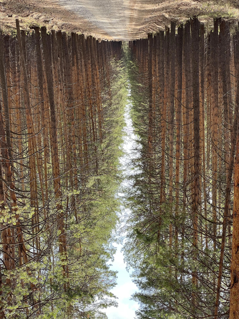 База отдыха Восток