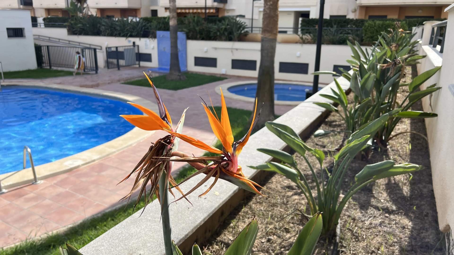 Апартаменты Hola La Playa