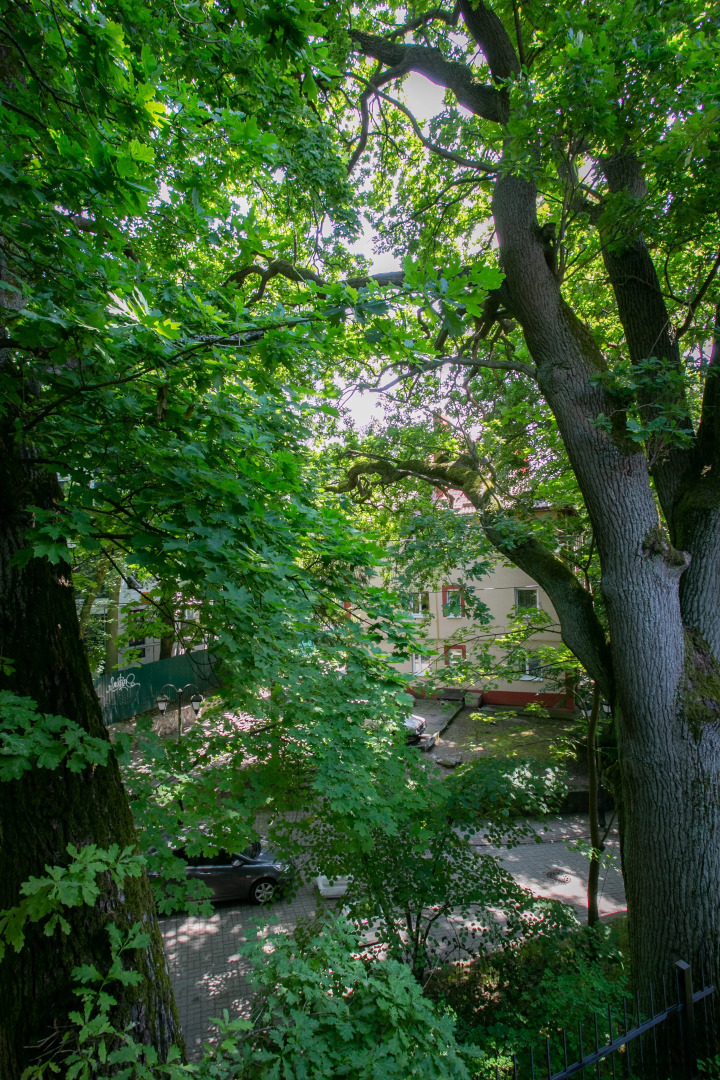 Квартира Самый центр