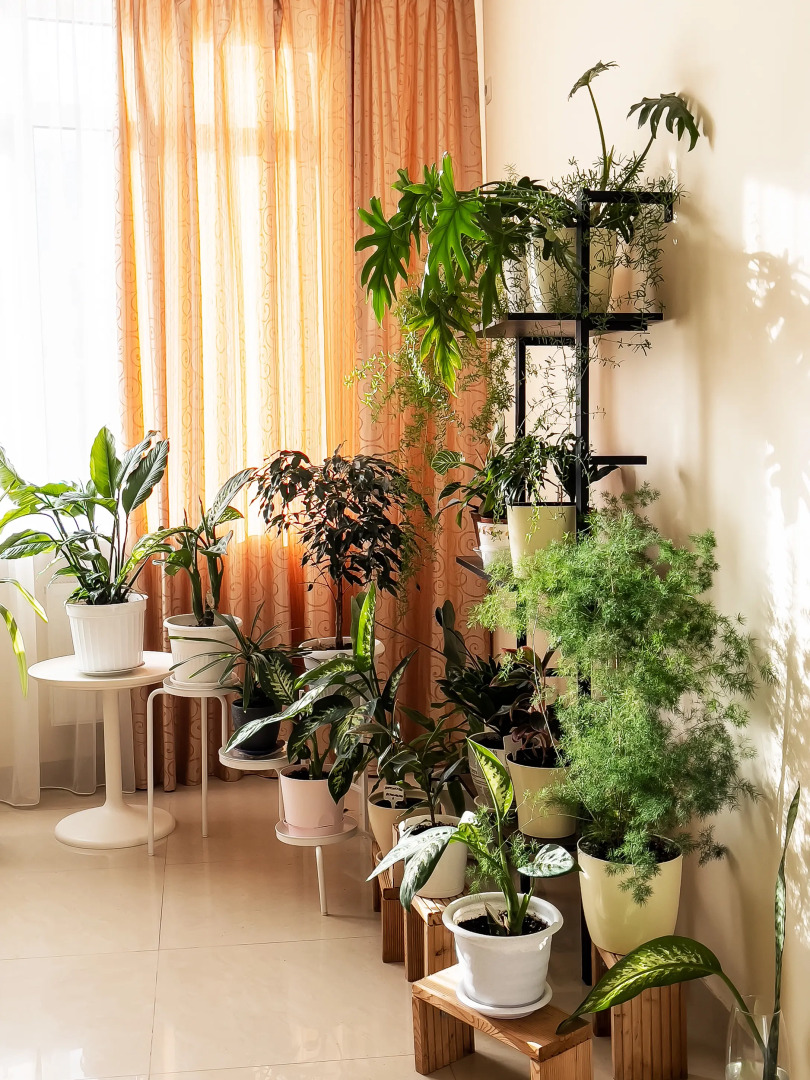 Отель Морская Волна