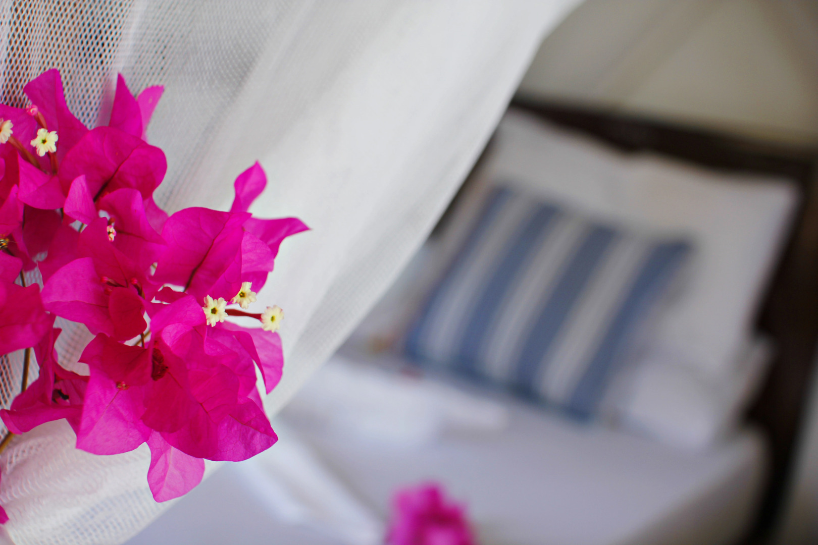 Отель Aya Beach Bungalows