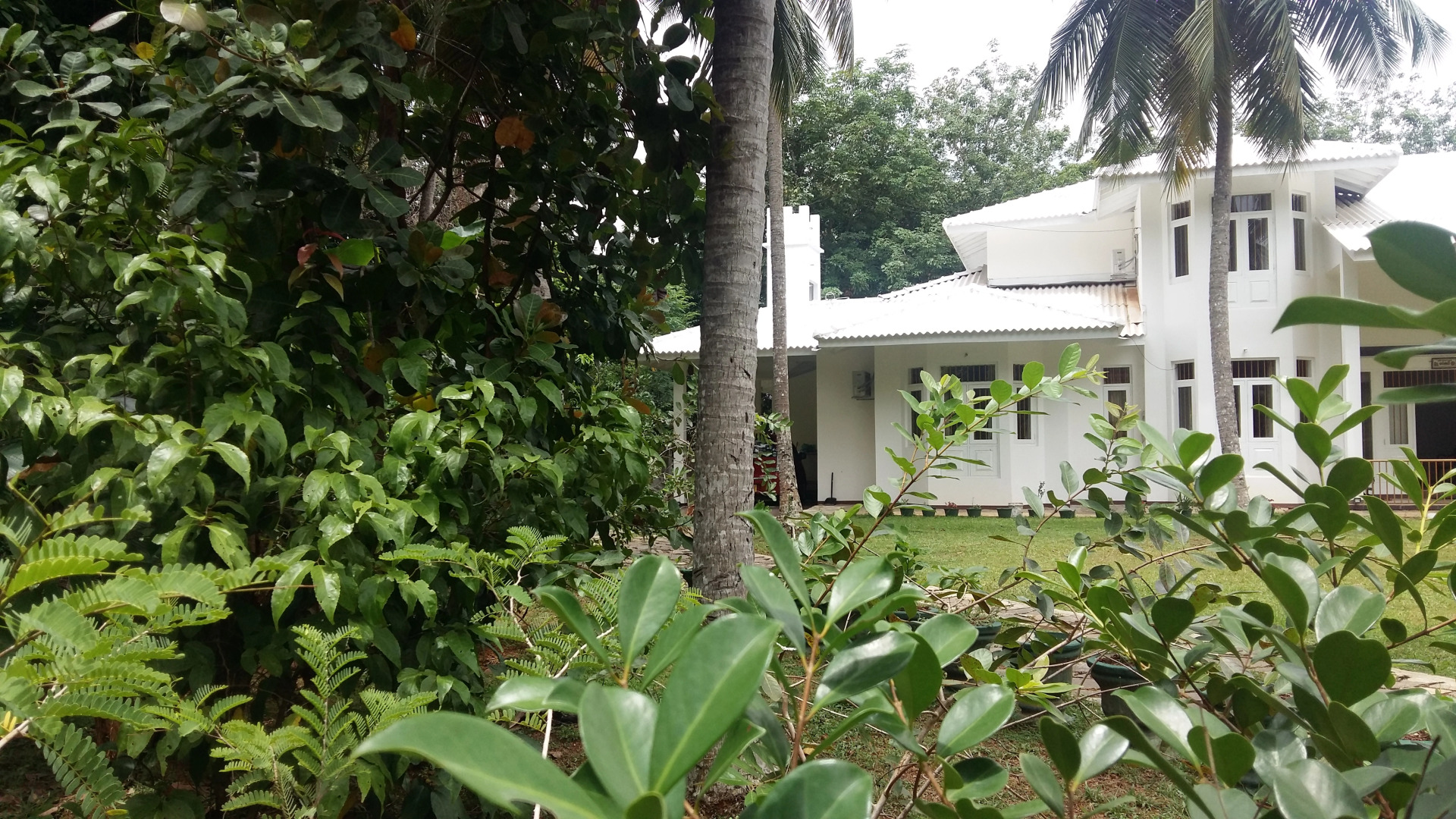 Гостевой Дом Wasaba Jayasekera