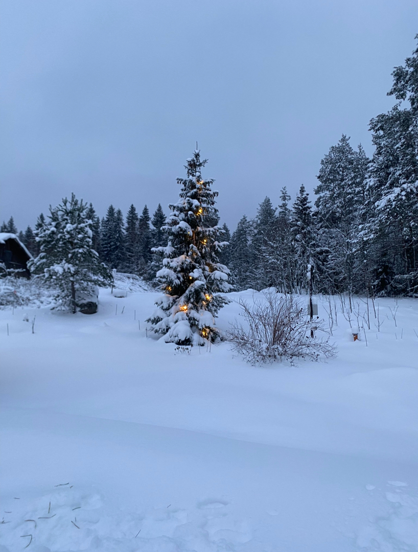 Частный дом Дом на финском хуторе Ханканмяки
