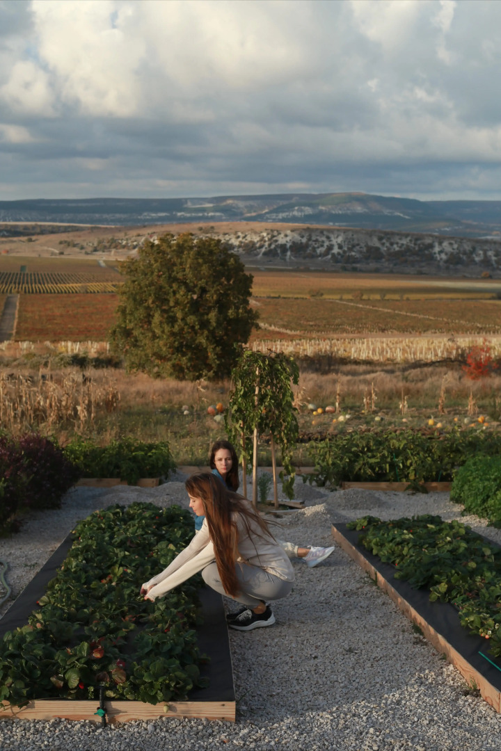 Отель Api Balaklava