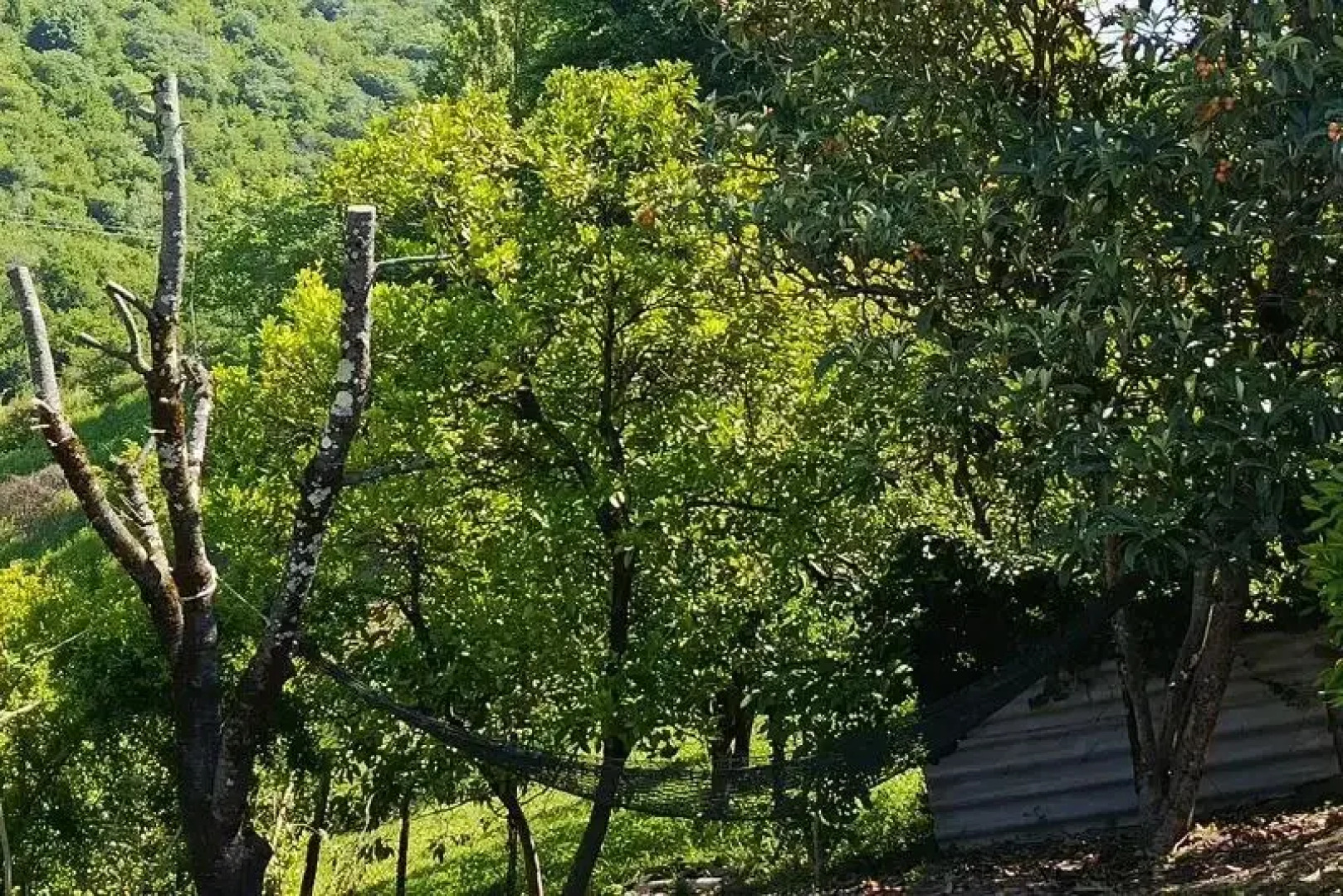 Гостевой дом Отдых у Ашота и Джульетты