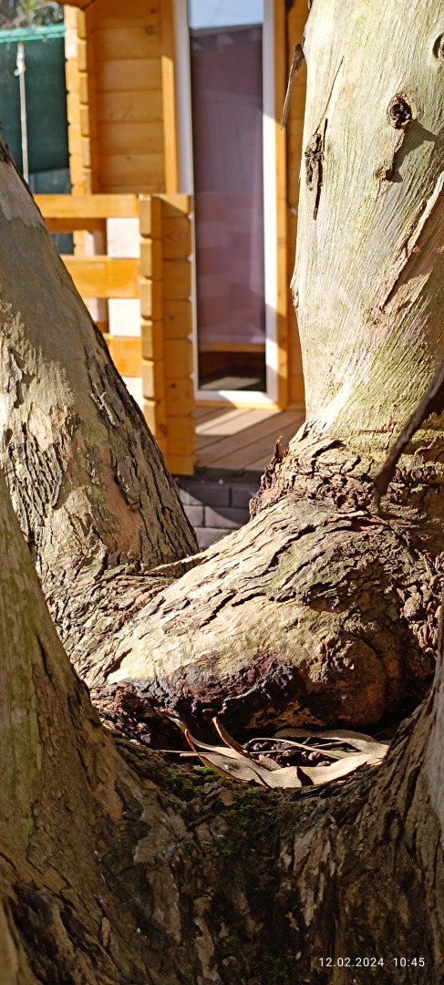 База отдыха Нарт отель